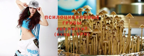 мет Алзамай
