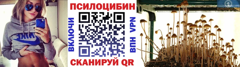 Псилоцибиновые грибы прущие грибы  как найти закладки  omg онион  Саки 