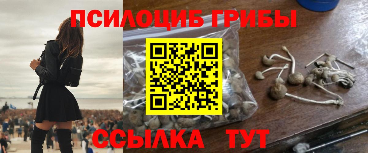 Псилоцибиновые грибы ЛСД  Вход с VPN  Галлюциногенные грибы ЛСД  хочу наркоту  Саки 